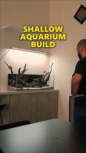 8.3K views · 1.4K reactions | A build video of a low tech 3ft shallow...