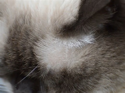 win7电脑系统清理c盘垃圾文件夹,台式电脑c盘怎么样清理垃圾,360清理c盘垃圾清理