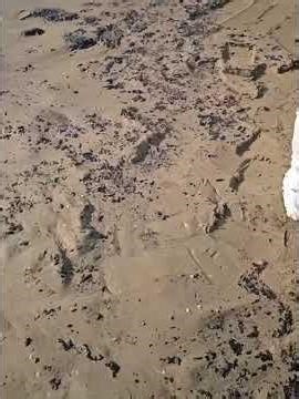 ⚡️Нефтяное пятно в Черном море стремительно растет и угрожает одному из заповедников Краснодарского