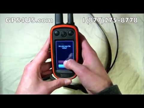 Pairing and Adding Dogs using Garmin TT15 and Alpha 100