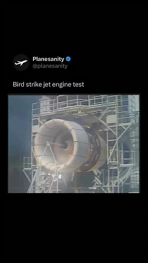 Jet engines are tested for bird strikes through a brutal but controlled process called bird ingestion testing or bird strike certification. Here’s how it works: Engines are mounted on a static test rig and spun up to full power. Then, at specific moments, dead birds (usually chickens, geese, or other fowl) are launched into the engine using a compressed-air cannon. The birds are typically fired frozen or thawed, depending on the test conditions. The goal is to simulate what would happen if a bir