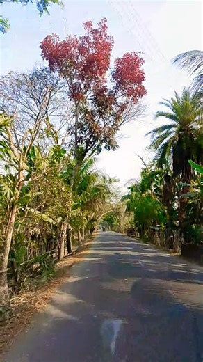 Tumi Aashe Paashe (Original Motion Picture Soundtrack)