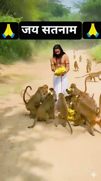 guru ghasidas Baba ka chamatkar 🫡||Omprakash pankaj #song