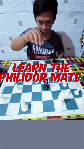 Funny Chess Strategies and Tips for Chess Players