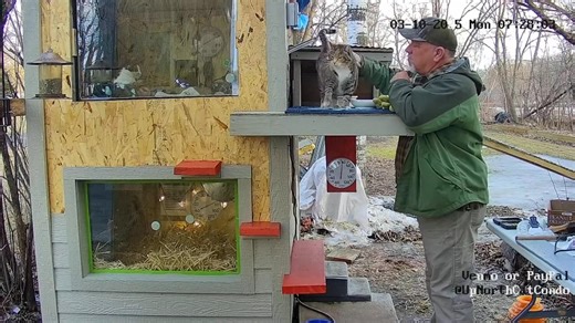 Cat Condo livestream from Frazee a big hit worldwide