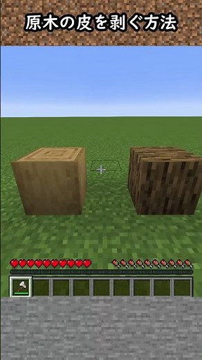 【豆知識】原木の皮を剝ぐ方法【マイクラ】#Shorts