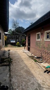 My good neighbor | Reality studios