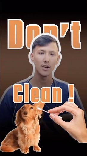 How to Clean Your Dog’s Ears Safely | Bunopets