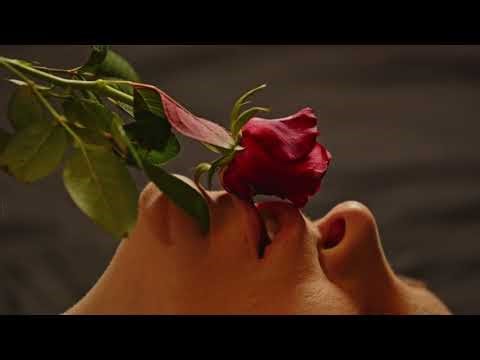 Sexy Saxophone Music to Set the Mood for Relaxation & Romance