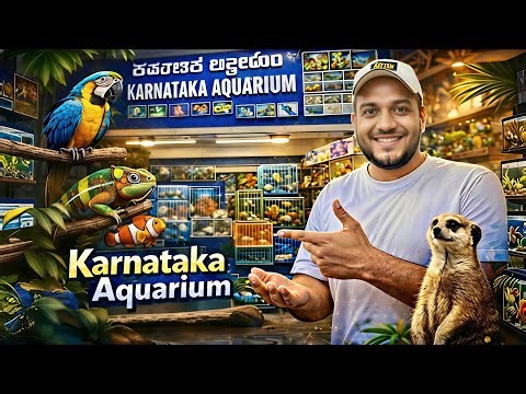 We Opened Another Karnataka Aquarium Branch 🐢 | Complete Walkthrough | Karnataka Aquarium
