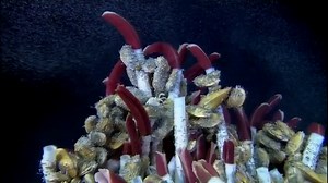 ¿Por qué el océano es azul si el agua es transparente?