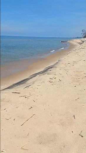 Lake Michigan summer splendor, the freshwater golden coast 🌊☀️🌳🩵🤎💚...