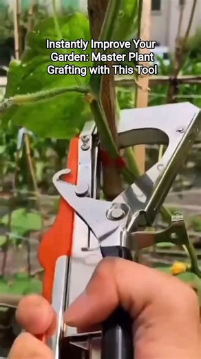 No More Failed Grafts! Beginner's Guide to the Grafting Machinem.
