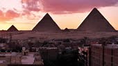 Egypt culture, nature and travel concepts.