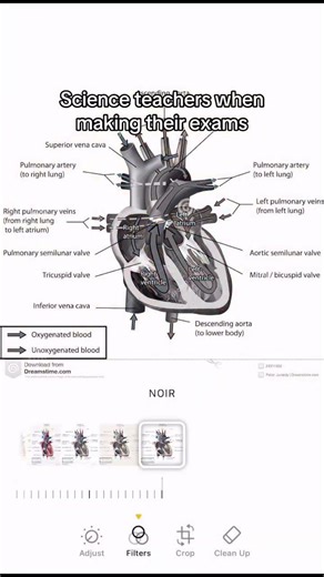 Science exams with diagrams…!!! #exam #funny #steam #science #school #exam