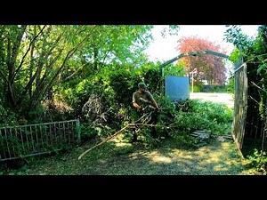 This YARD with Tall and Thick Grass NEEDS MY HELP