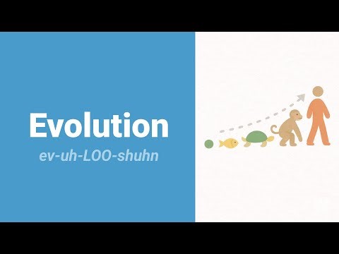 How to Pronounce Evolution?