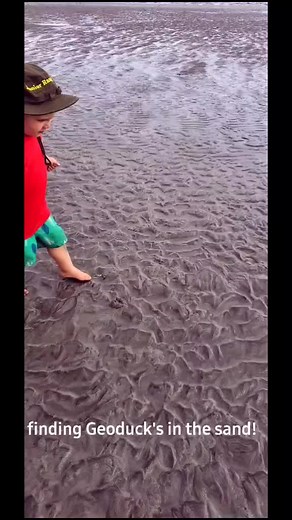 Geoduck hunting on Vancouver Island #BackyardVibes #fyp #toddlerslife #momlife #momsoftiktok #happyathome #toddlershavingfun #beach #beachlife