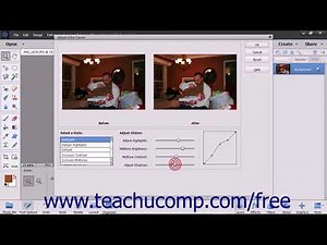 Photoshop Elements 2018 Tutorial Color Curves Adobe Training