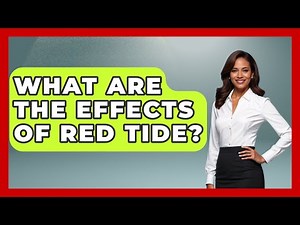 What Are The Effects Of Red Tide? - The Caribbean Expert