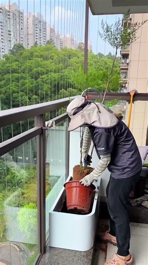 Create a tropical garden on your indoor balcony #SpaceDesign #gardendesign #garden #plants