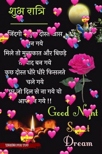 Good Night Status - Whatsapp Good Night Status Video