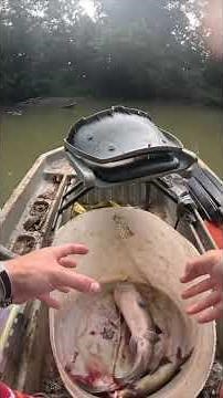 Stocking My Pond with River Catfish! #Jesus #GrayGang