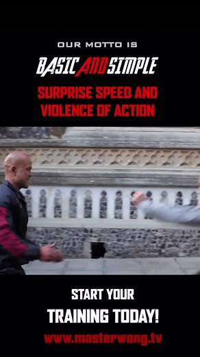 Wing chun Basic and simple #masterwongbook #mastermind #wingchun #motivation #taichi #basicandsimple￼