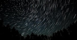 Time lapse of Star trails in the night sky. Silhouettes of trees 4K