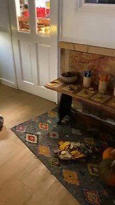 6.9K views · 15 reactions | The Curiosity Approach on Reels | Facebook