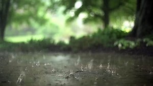 Free HD Video Rain Stock Footage