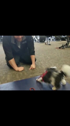 19K views · 1.6K reactions | Years ago Gizmo ran the spin classes at ma's gym. Would you sign up, frens? Thank you, Coaching Director Eric, for these special memories and for saving Ma's life. | Gizmo's Frens | Facebook