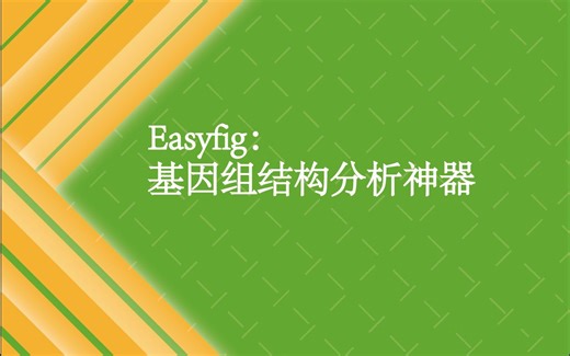 【课程】基因组结构分析神器Easyfig实操精品课