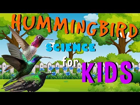 Hummingbirds | Science for Kids