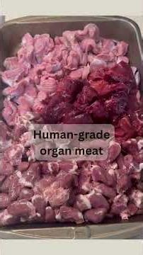 Making Homemade Catfood - The Basics