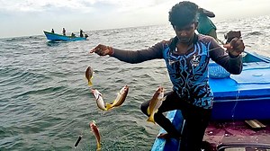 134K views · 4.3K reactions | We Caught Yellowtail Snapper, Humpback Red Snapper & Blackspot Snapper in the Sea | Neerulagam | Facebook