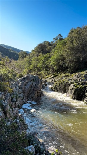 Roquebrune-sur-Argens - Les Issambres Tourisme on Instagram: "3 raisons de randonner en février sur les sentiers des Cavalières 👇 ✨ Admirer les sommets enneigés des Alpes depuis les différents points de vue 🌼 Se laisser émerveiller par le mimosa qui colore par touches les paysages et laisse émaner un doux parfum sucré 💧 Se laisser bercer par le chant de l’eau du ravin de la Maurette à chaque pas #roquebrunesurargens #randonnée #hiking #var #randonneepedestre"