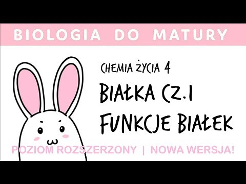 Chemistry of Life 4 🧪 Proteins (proteins) protein functions - biology for high school final exams