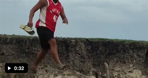 Going for a swim in the mud - Video