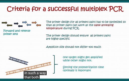 多重的概念及多重PCR简述