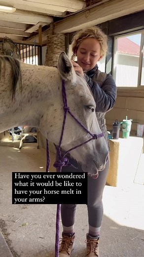 Follow me for horse massage tips ❤️