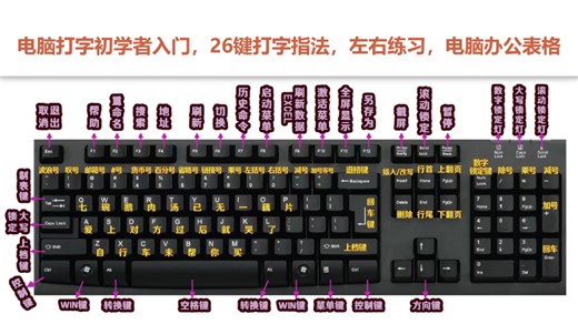 新手0基础学电脑，认识键盘功能键，学会打字指法，电脑表格制作