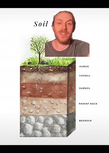 What do a tree’s roots look like? #trees #soil #roots #forest #tree #plants #fyp #plantsoftiktok #garden #urbanforest