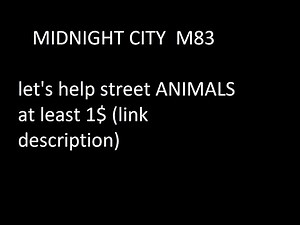Midnight City M83 Lyrics .. let's help street ANIMALS at least 1$ (link description)