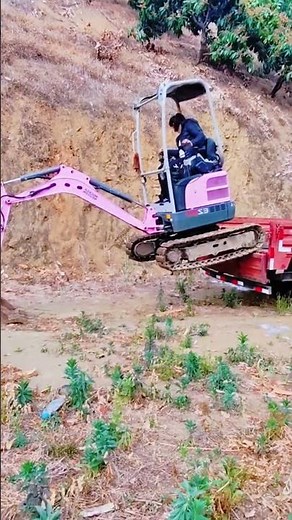 Homemade Mini Excavator Built by Innovative Woman