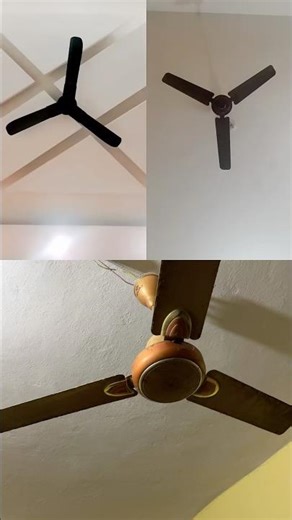 Ceiling fan start | #shorts #ytshorts #shortsfeed #ceilingfan #fan