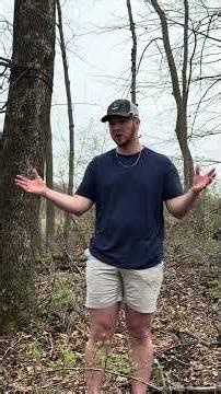 The most comfortable tree stand I’ve ever sat in