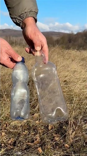 I Made a Candle Lamp in the Forest Using Only a Water Bottle and Aluminium Foil
