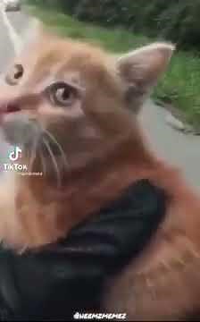 You're my friend now