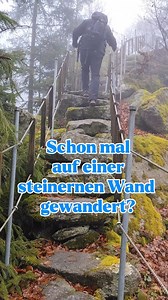Das Abenteuer liegt auf dem Schwarzwihrberg der Aufstieg geht etwas anstrengend los. Ihr befolgt dann der Beschilderung und ihr werdet sehen was für ein aufregender Ort das ist. Wir werden wenn es schöner ist nochmal kommen denn man soll bis zum großen Arber schauen können. Wer würde sich trauen? #abenteuer #adventures #wandern #hiking #trekking | Torsten Stanzel
